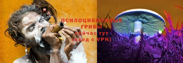 герыч Алзамай